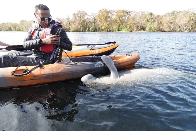 Small Group Manatee Discovery Kayak Tour near Orlando - Price and Value: What $80 Buys You Near Orlando