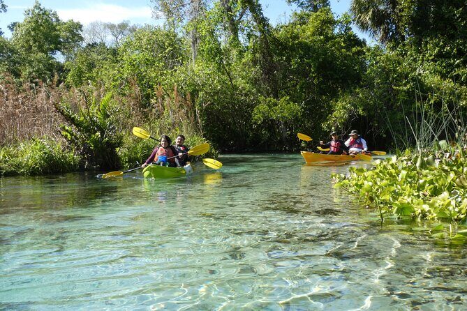 Small Group Rock Springs Run Eco Kayak Adventure - Rock Springs Run: A Real Florida Spring Paddle, Not a Scenic Drive