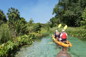 Small Group Rock Springs Run Eco Kayak Adventure - The 3-Hour Plan: Upstream Work, Then a Relaxed Drift