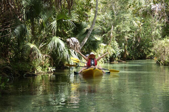 Small Group Rock Springs Run Eco Kayak Adventure - Wildlife Spotting: What You Might See (And How the Guide Helps)