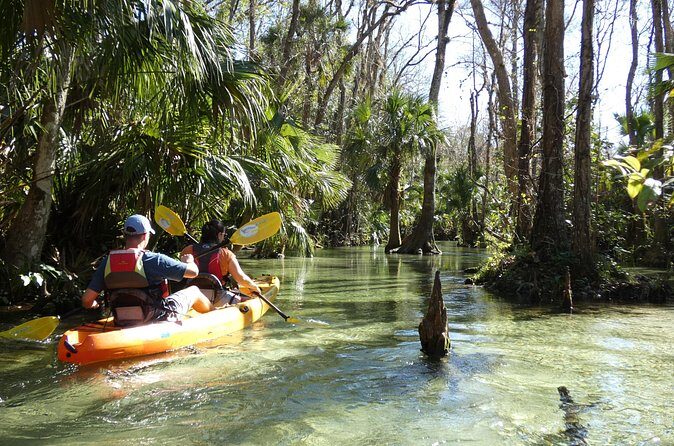Small Group Rock Springs Run Eco Kayak Adventure - Spring Swimming in Clear Water: Why This Moment Matters
