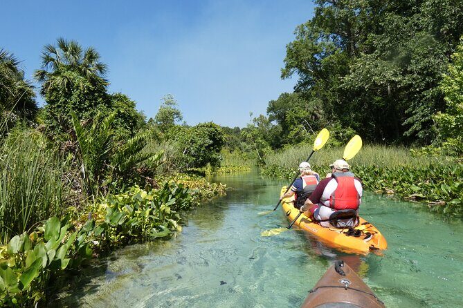 Small Group Rock Springs Run Eco Kayak Adventure - The 3-Hour Plan: Upstream Work, Then a Relaxed Drift