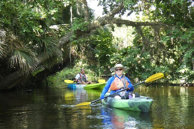 Small Group Scenic Wekiva River Kayak Tour near Orlando - Why the Wekiva River feels like a Florida reset