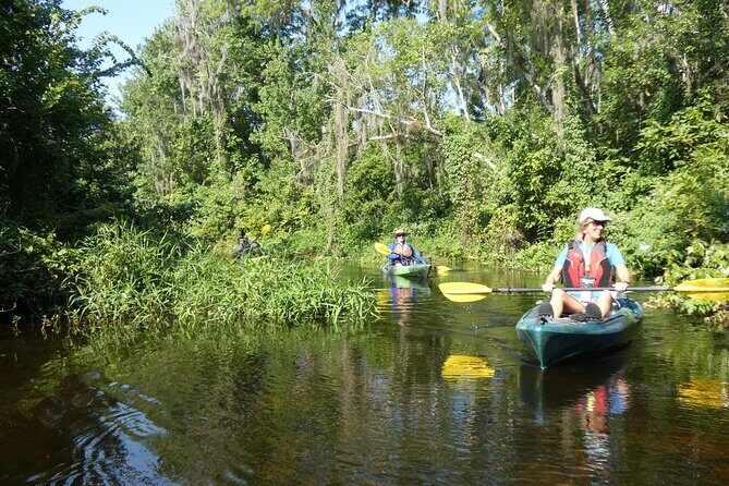 Small Group Scenic Wekiva River Kayak Tour near Orlando - Gear and guide support: the part you don’t want to overthink