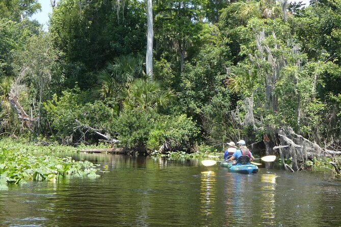 Small Group Scenic Wekiva River Kayak Tour near Orlando - Price and value: what $80 gets you (and what it doesn’t)
