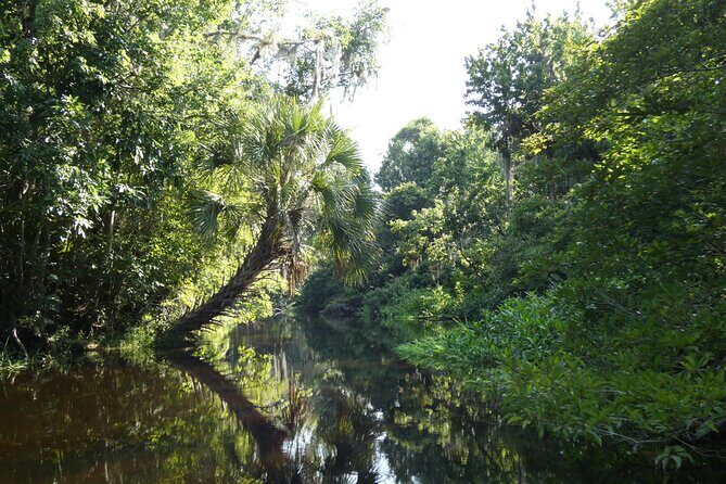 Small Group Scenic Wekiva River Kayak Tour near Orlando - Getting set up at Katie’s Landing and starting with confidence