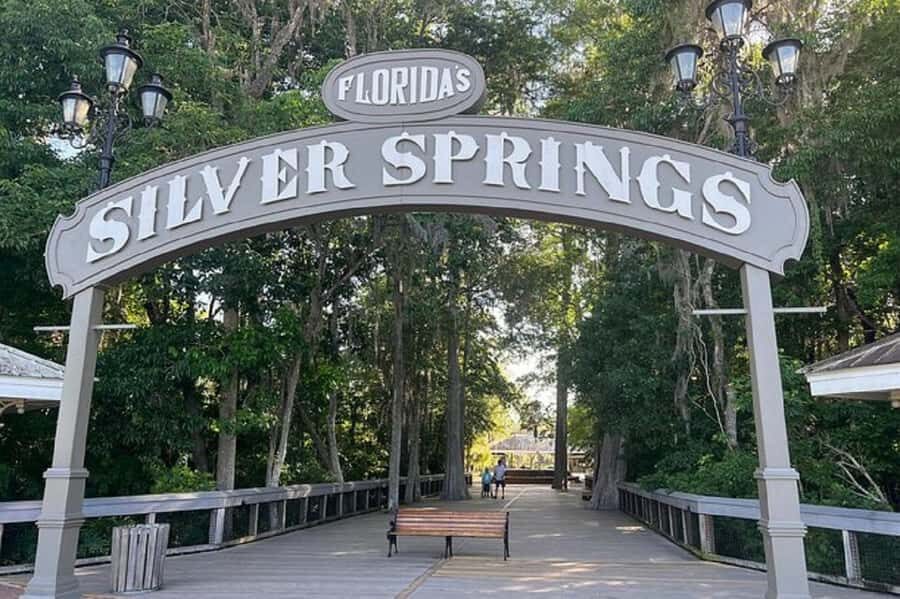Small Group Silver Springs State Park Day Tour from Orlando - Free Time in the Park: How to Choose Your Own Adventure