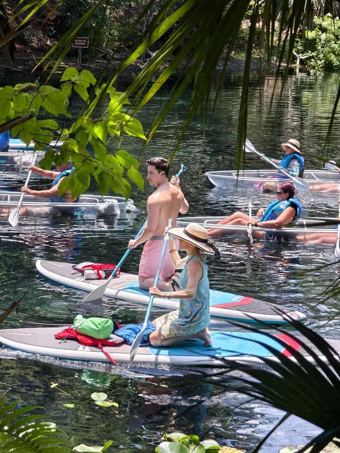 Small Group Silver Springs State Park Day Tour from Orlando - Who This Small-Group Silver Springs Tour Fits Best