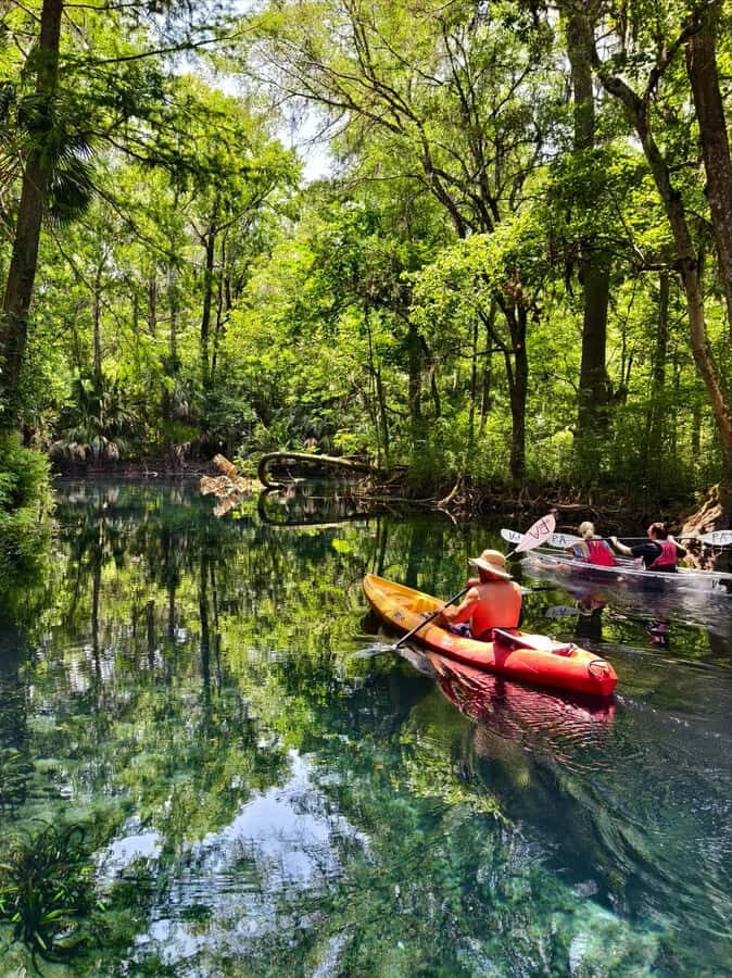 Small Group Silver Springs State Park Day Tour from Orlando - Quick Tips to Make the Day Run Like You Planned It