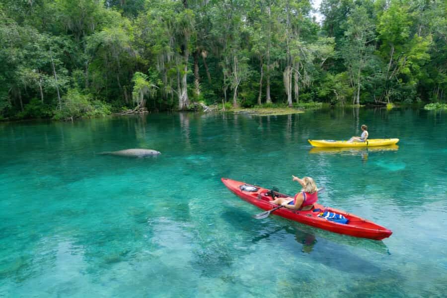 Small Group Silver Springs State Park Day Tour from Orlando - Getting Picked Up in Orlando (Three Hotels, Fixed Times)