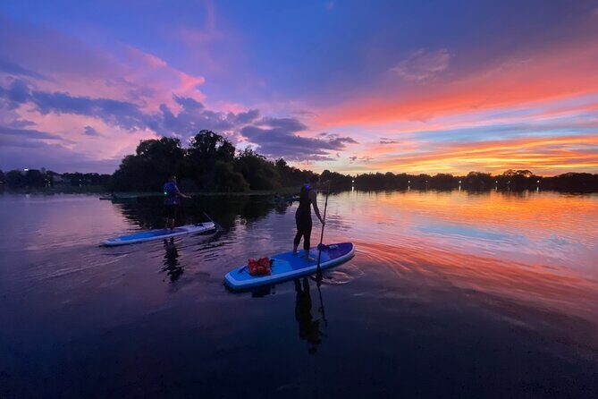 Sunset Clear Kayak or Paddleboard in Orlando - Key things to know before you go