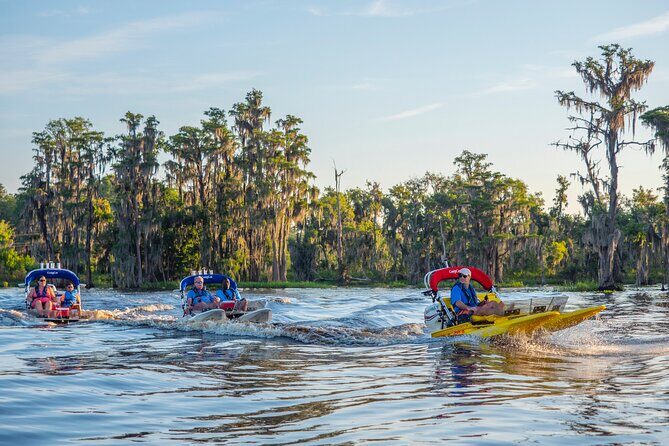 Tour of Lakes Escape by Personal Catamaran - The Ride Itself: Wetlands, Cypress Trees, Spanish Moss, and Wildlife Moments