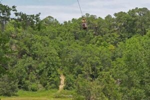 Treetop Express Zip Line Tour with 5 Zip Line Flights & 2 Sky Bridges Included - First step on the platform: intro and practice zip