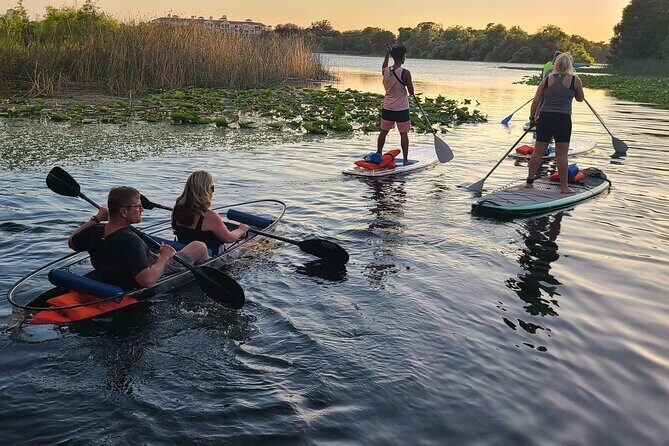 Urban Clear Kayak or Paddleboard in Paradise: Morning/Night - Lake Ivanhoe: Seeing Orlando from the Water, Not the Road