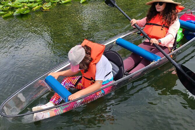 Urban Clear Kayak or Paddleboard in Paradise: Morning/Night - Price and Value: Is $65 Worth It?