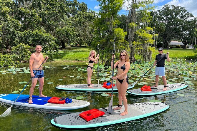 Urban Clear Kayak or Paddleboard in Paradise: Morning/Night - Should You Book This Clear Kayak or Paddleboard Tour?