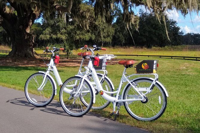 Village Bicycle Rental Free Delivery in The Villages Florida - Key Highlights You’ll Care About