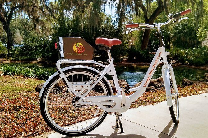 Village Bicycle Rental Free Delivery in The Villages Florida - Price and Value: Is $25 Worth It?