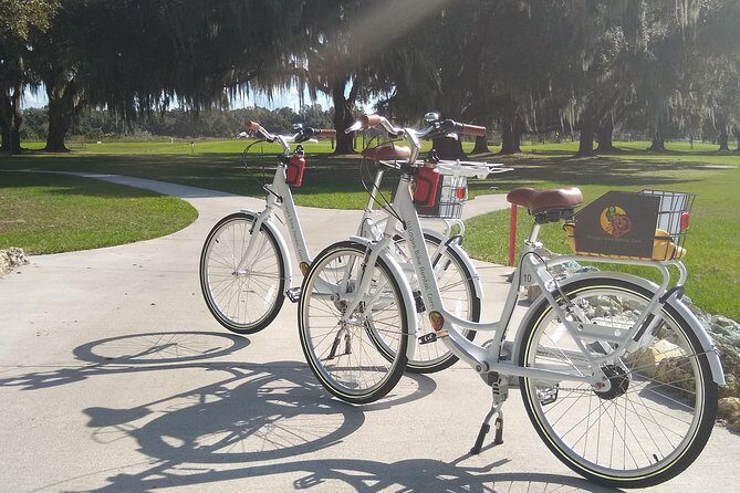 Village Bicycle Rental Free Delivery in The Villages Florida - What You Get With the Bike: Comfort, Control, and Easy Parking
