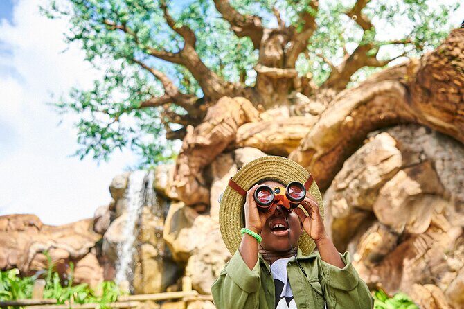 Walt Disney World Orlando Park Hopper Tickets - What’s Included vs Paid Add-Ons Inside the Parks
