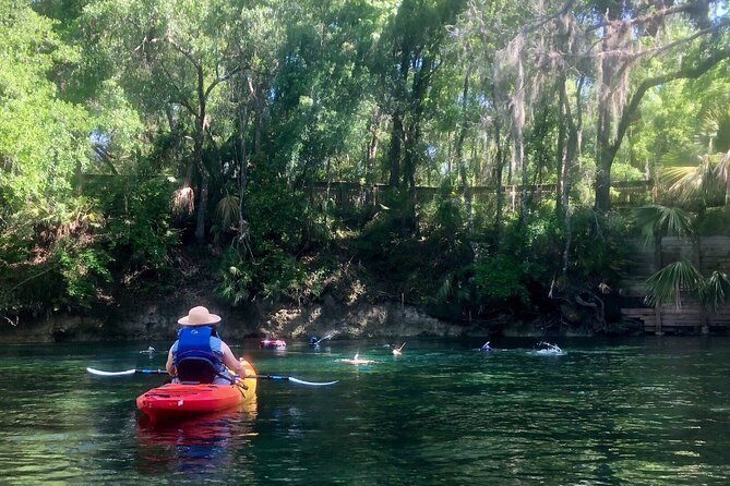 Wekiva River Guided Kayak Tour - Key things to know before you go