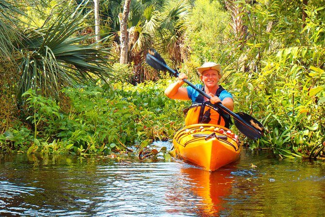 Wekiva River Guided Kayak Tour - Why the Wekiva River beats Orlando’s usual routine