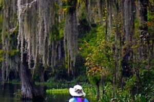 Wekiva River Guided Kayak Tour - Morning logistics at 262 Wekiva Park Dr (and the small costs that matter)