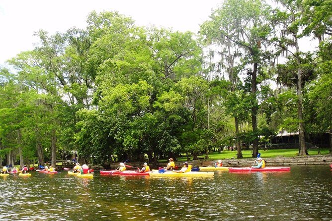 Wekiva River Guided Kayak Tour - Lunch on the river: fuel that doesn’t kill the mood