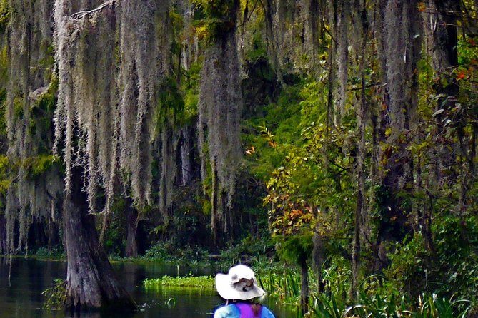 Wekiva River Guided Kayak Tour - Morning logistics at 262 Wekiva Park Dr (and the small costs that matter)