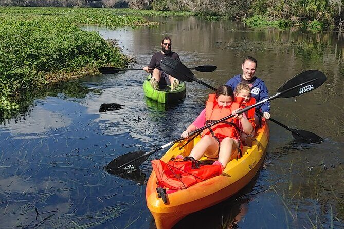 Wekiva Wildlife Kayaking Adventure Tour - Kayaking the lower Wekiva: a 2-hour nature routine that stays fun