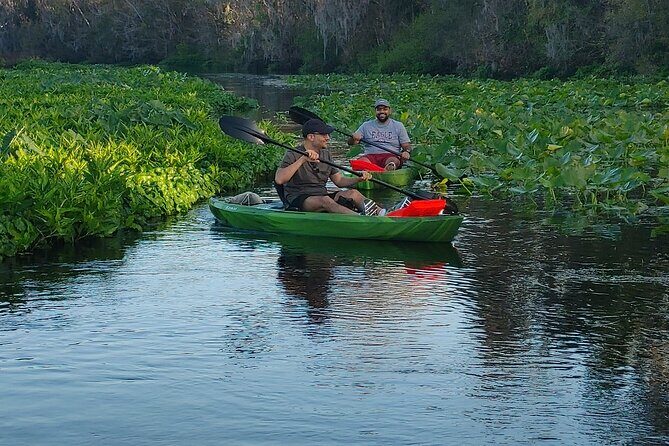 Wekiva Wildlife Kayaking Adventure Tour - Wildlife guidance that makes the scenery click