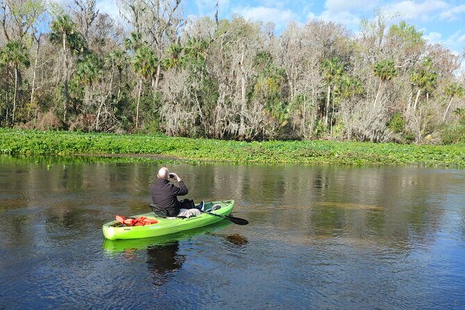 Wekiva Wildlife Kayaking Adventure Tour - Meeting at 379 Malekean Trail (Sanford): keep it easy