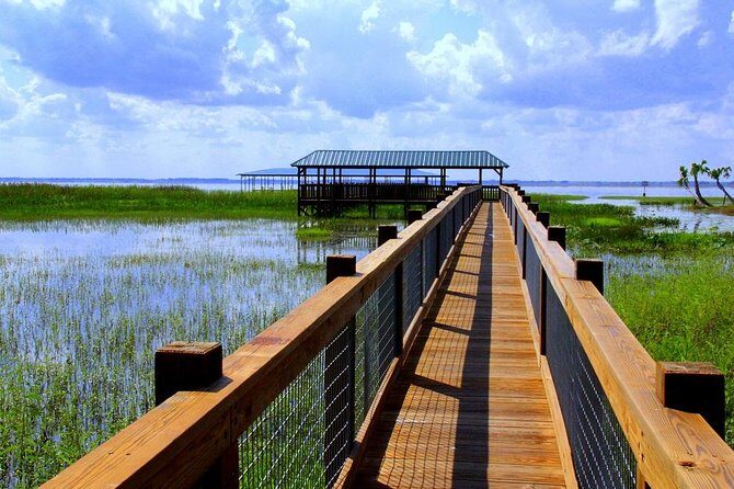 Wild Florida Adventure Package Tour with Hotel Pickup & Lunch - Orlando to Wild Florida: The Value of One Easy Package