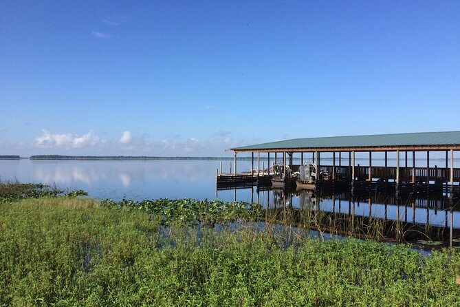 Wild Florida Adventure Package Tour with Hotel Pickup & Lunch - The Airboat Ride: 30 Minutes or 60 Minutes on the Water