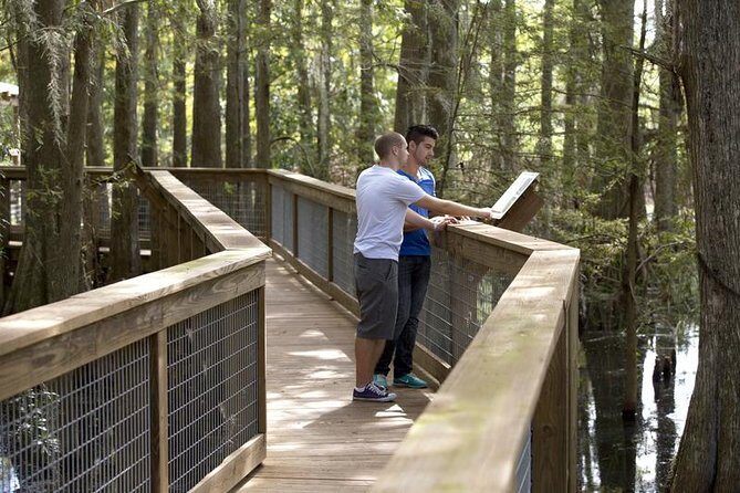 Wild Florida Adventure Package Tour with Hotel Pickup & Lunch - The Pickup System: Gray Line Orlando Runs the Show