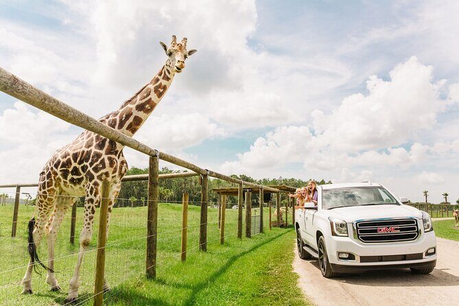 Wild Florida Drive-Thru Safari and Gator Park Admission - A Self-Drive Safari Where You Control the Pace