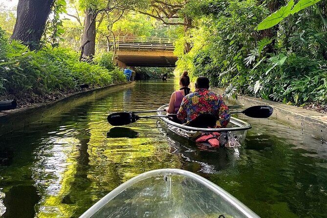 Winter Park Chain of Lakes Day Time Clear Kayak Paddle - Price and value: is $69 worth a two-hour clear-kayak day?
