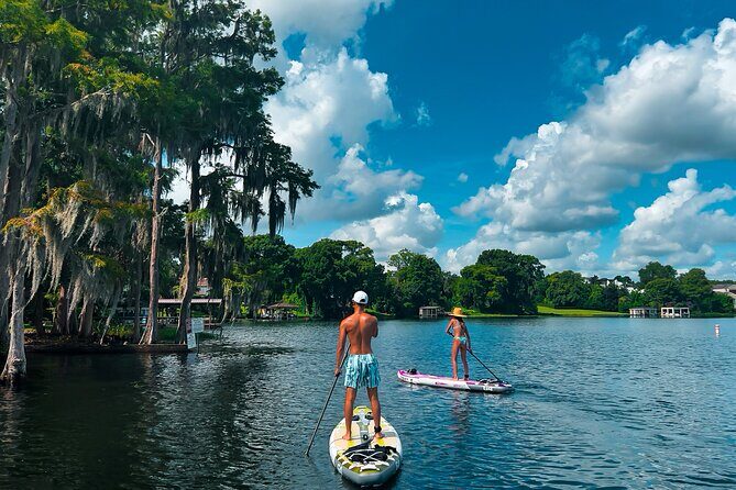 Winter Park Paddle Board Tour - Wildlife spotting along the canals: what to watch for